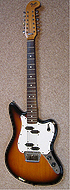 fenderXII1t.jpg